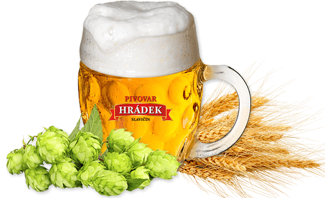 naše pivo a suroviny pro jeho výrobu